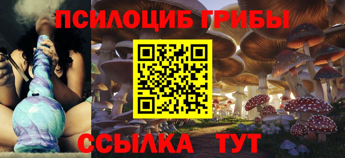 Псилоцибиновые грибы GOLDEN TEACHER  Вход с VPN  сколько стоит  Апшеронск  Псилоцибиновые грибы Psilocybine cubensis 
